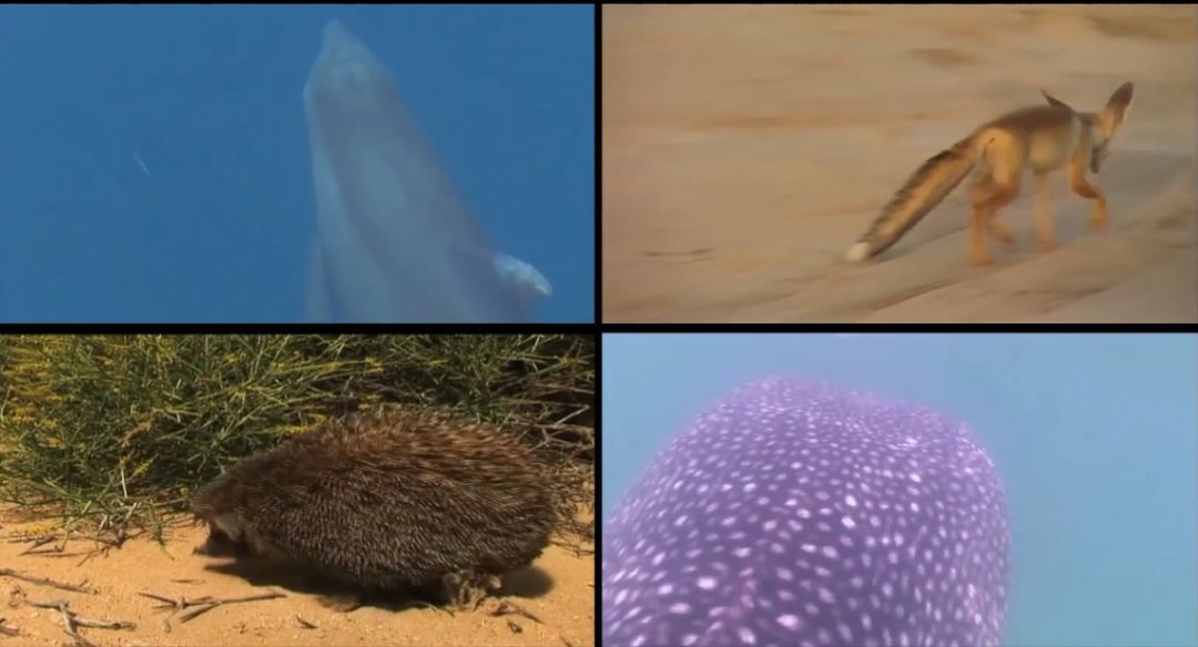 首页 - JDB电子官方网站