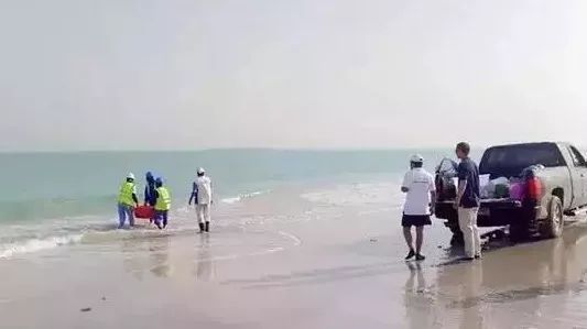 首页 - JDB电子官方网站