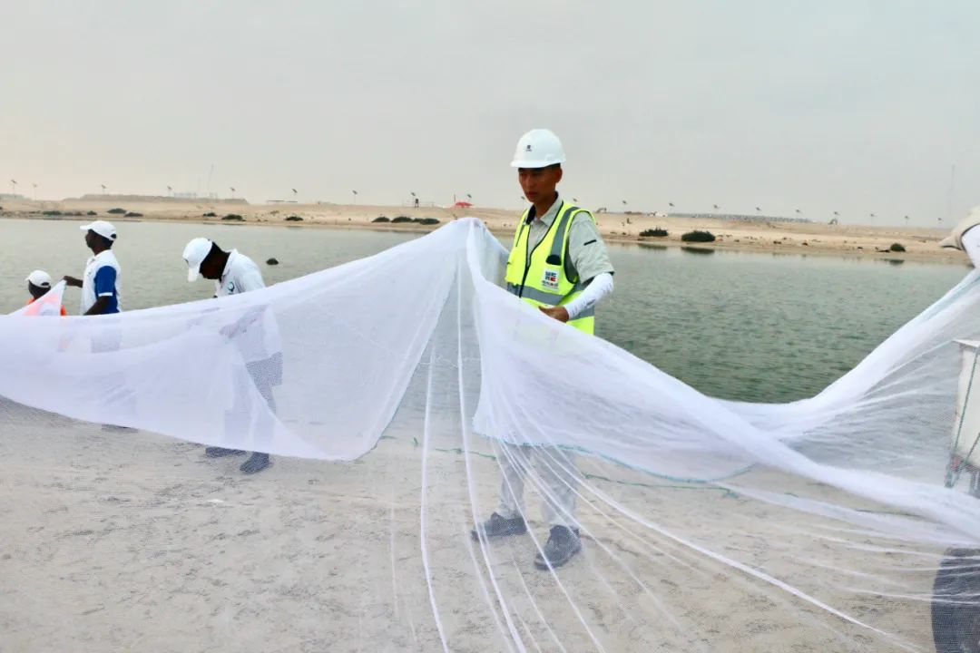 首页 - JDB电子官方网站