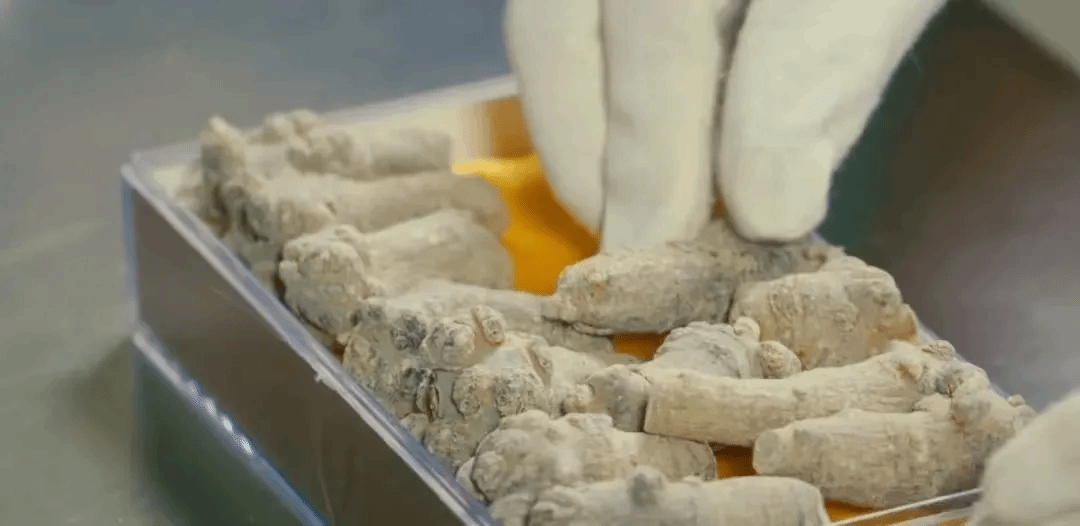 首页 - JDB电子官方网站