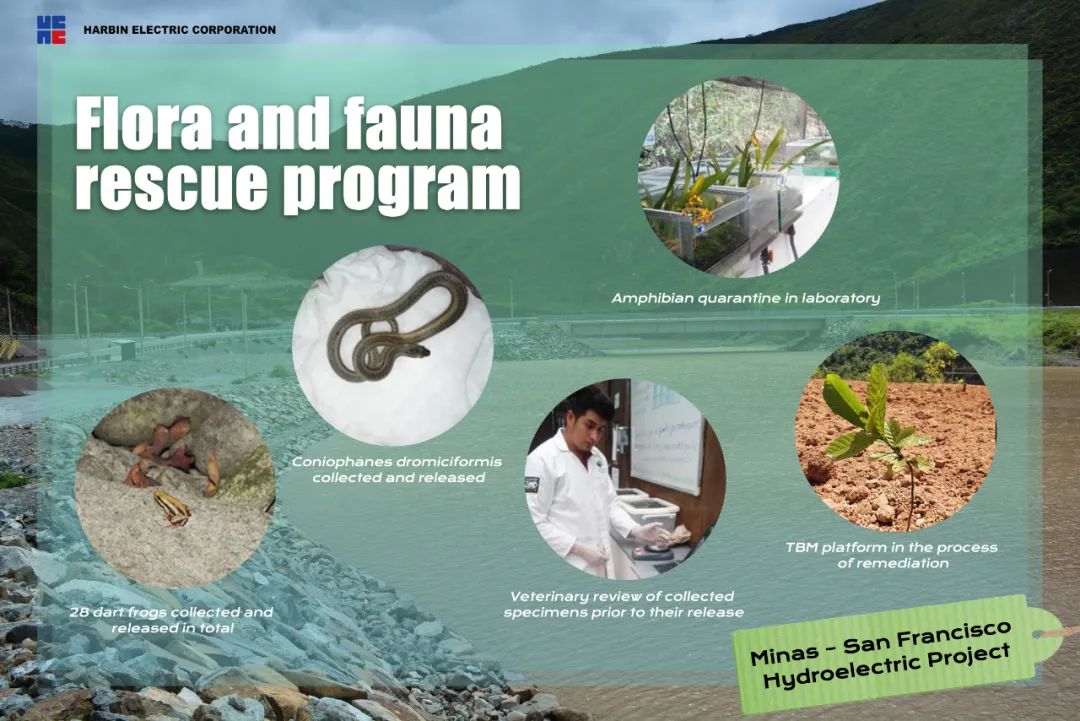 首页 - JDB电子官方网站