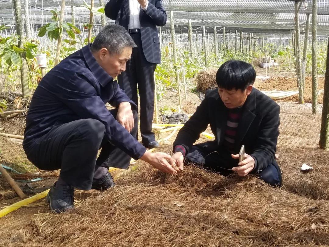 首页 - JDB电子官方网站