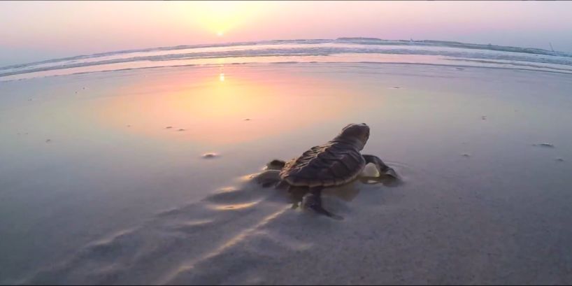 首页 - JDB电子官方网站