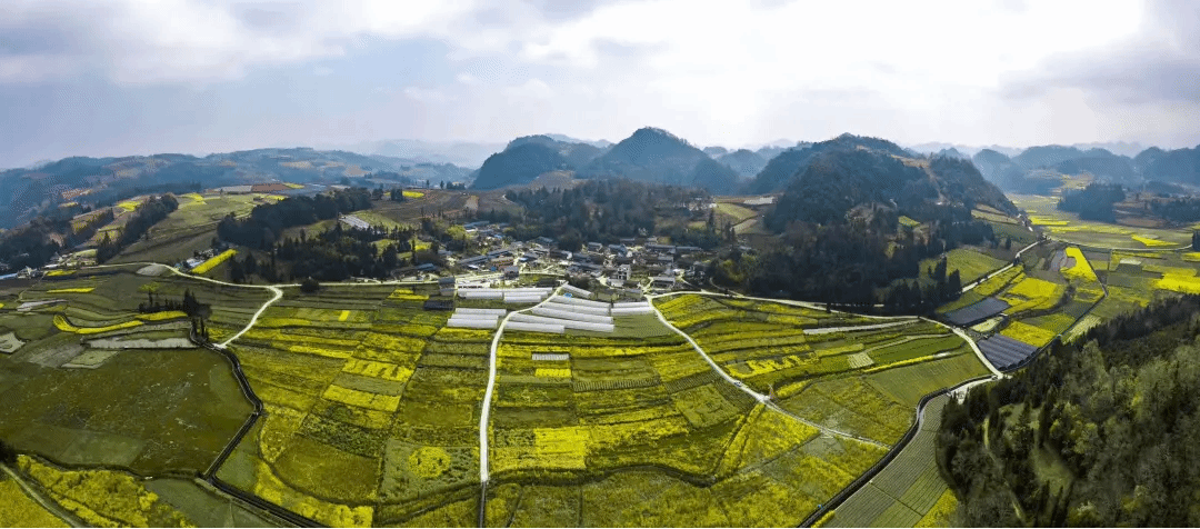 首页 - JDB电子官方网站