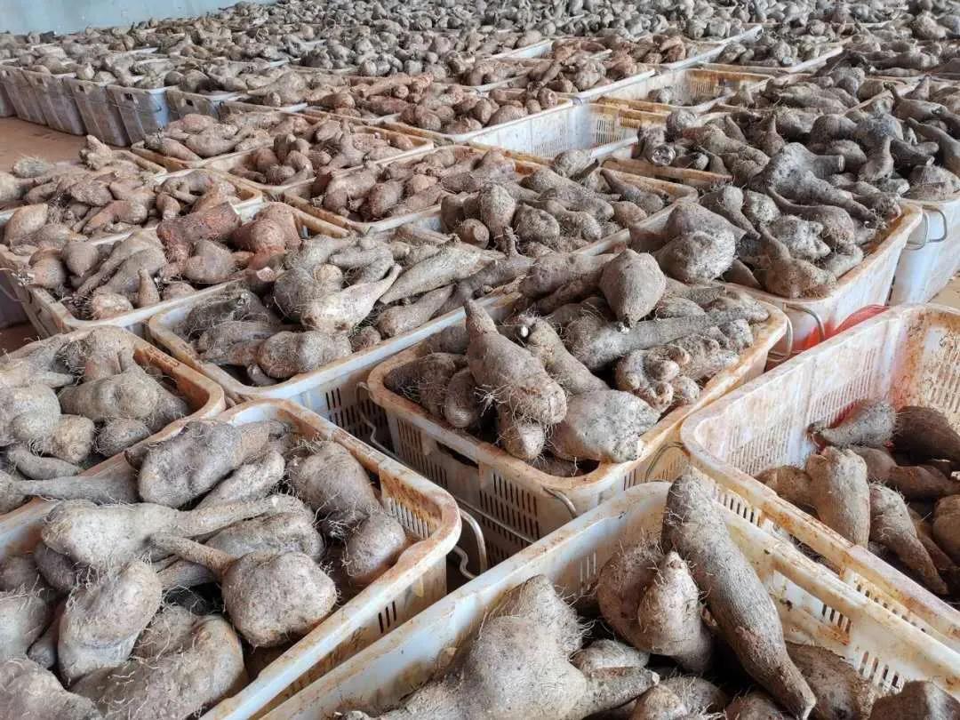 首页 - JDB电子官方网站