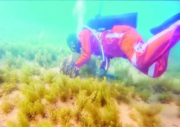 首页 - JDB电子官方网站