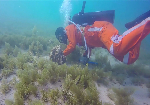 首页 - JDB电子官方网站