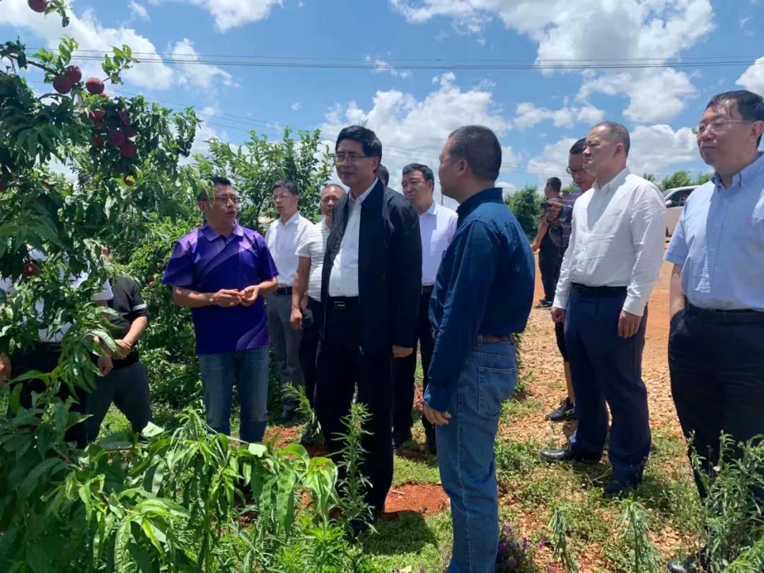 首页 - JDB电子官方网站