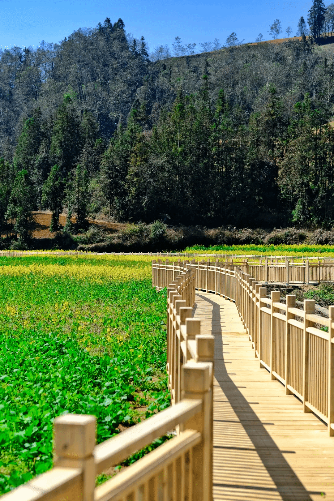 首页 - JDB电子官方网站