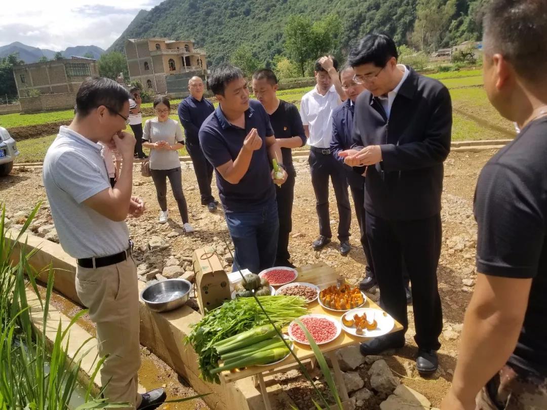 首页 - JDB电子官方网站