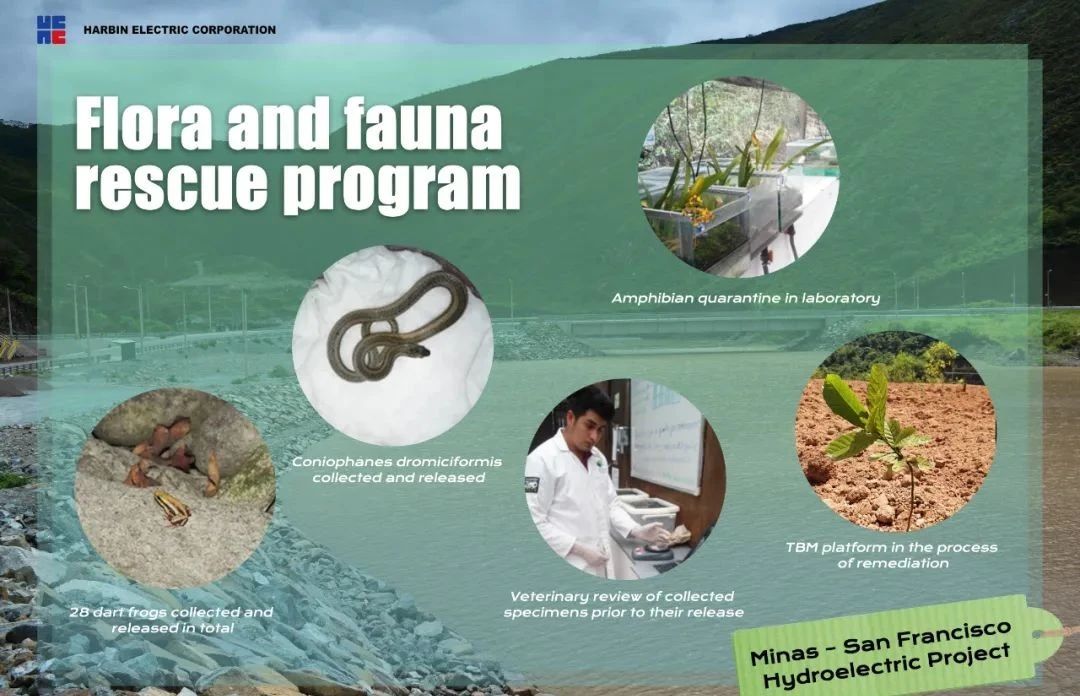 首页 - JDB电子官方网站