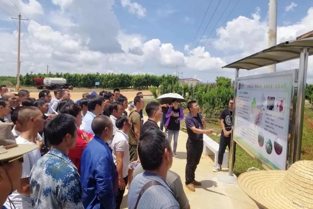 首页 - JDB电子官方网站