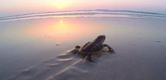 首页 - JDB电子官方网站