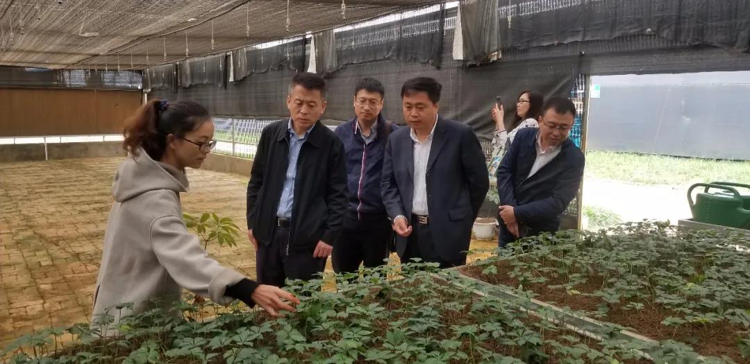 首页 - JDB电子官方网站