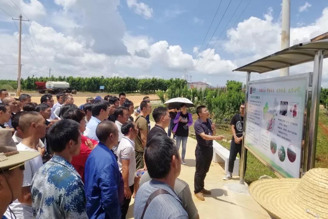 首页 - JDB电子官方网站