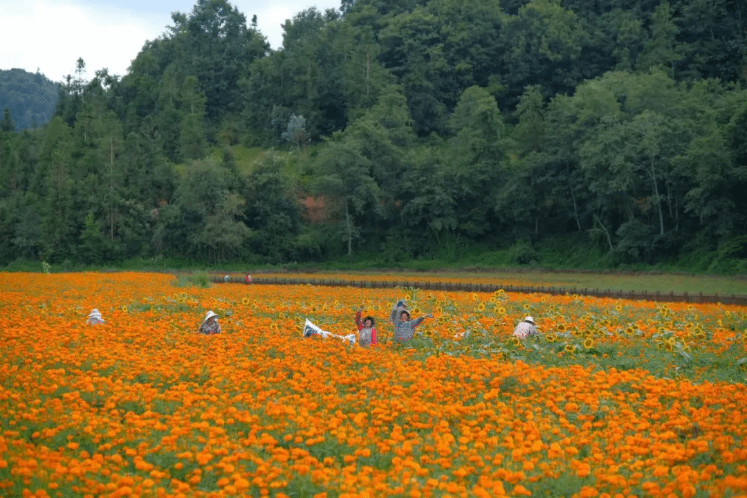 首页 - JDB电子官方网站