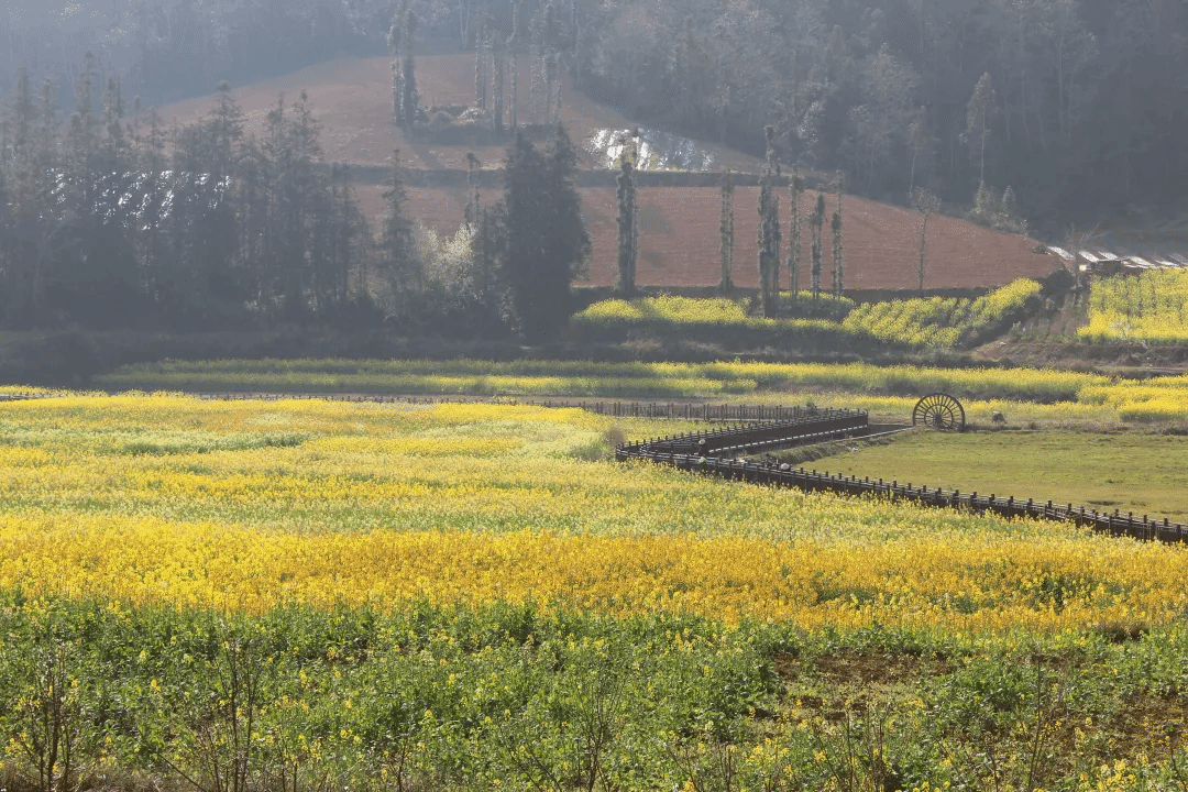 首页 - JDB电子官方网站